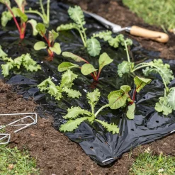 Windhager Mulch-Folie 10x1,2 m