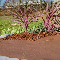 Windhager Mulch-und Unkrautvlies 10x0,9 m