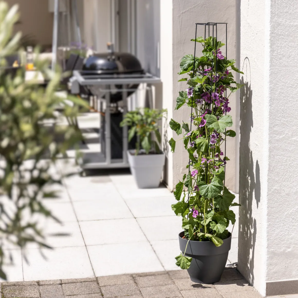 Windhager Ranksäule 2-teilig 125 cm