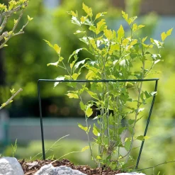 Windhager Staudenstütze 35x40 cm