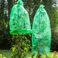 Windhager Tomaten-Folienhaube 1,2x0,6 m 5 Stück