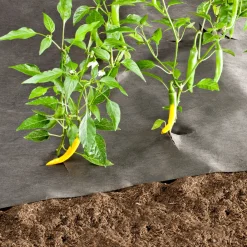 Windhager Unkrautvlies 50 g/m² 5x1,6 m