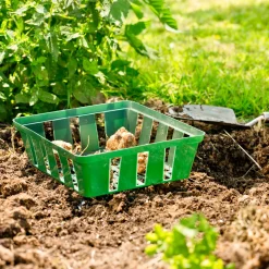 Windhager Zwiebelschalen 23,5x21 cm 3 Stück