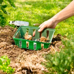 Windhager Zwiebelschalen 23,5x21 cm 3 Stück