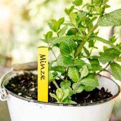 Windhager Holz-Stecketiketten gelb 25 Stück