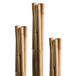 Windhager Splittstäbe 40 cm natur