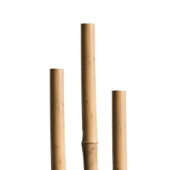 Windhager Splittstäbe 40 cm natur