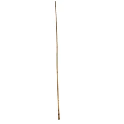 Wingart Bambusstab 105 cm