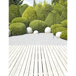 Wingart Rosenbogen 240 x 140 x 38 cm schwarz pulverbeschichtet