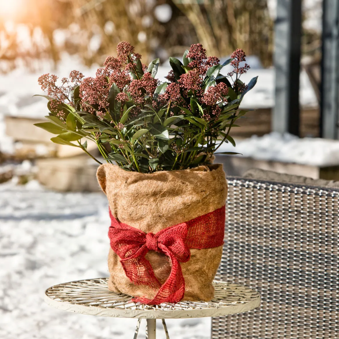 Winterschutz-Vliesmatte 150 x 38 cm