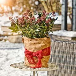 Winterschutz-Vliesmatte 150 x 38 cm