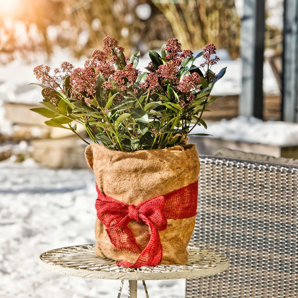 Winterschutz-Vliesmatte 150 x 38 cm