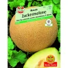 Zuckermelone Masada Galia-Typ